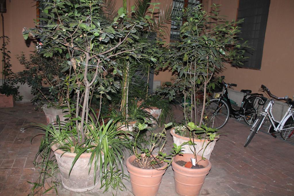 Monolocale Oberdan Apartment Bologna Luaran gambar